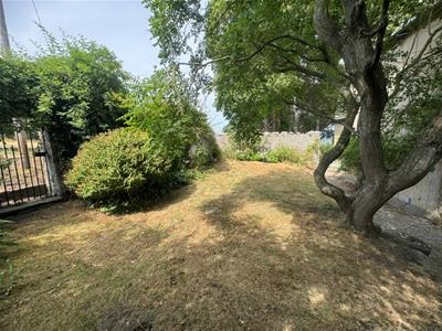 Picture 27